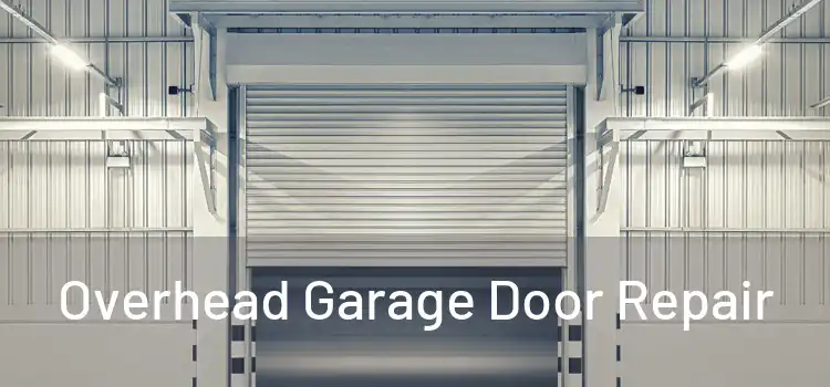  Overhead Garage Door Repair 